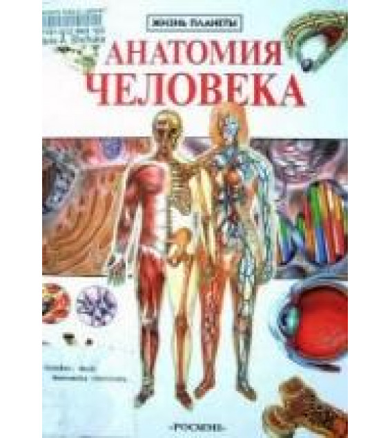 Анатомия человека - Марк Крокер.