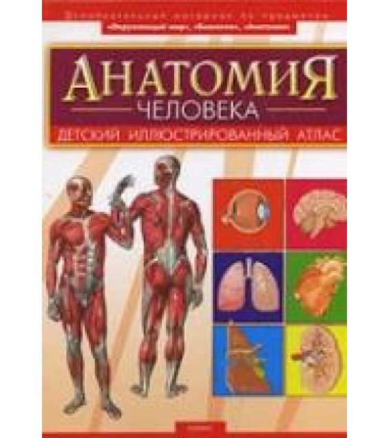 Анатомия человека - Мирер А.И.