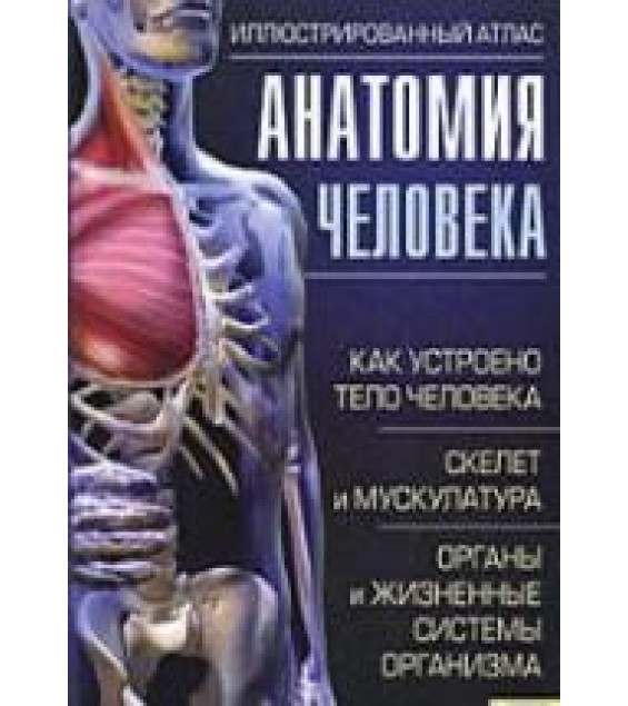 Анатомия человека. Иллюстрированный атлас - Кассан А.