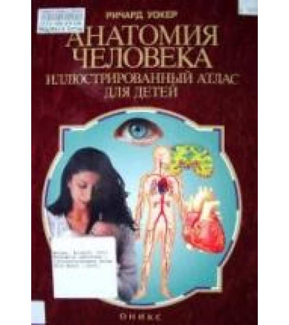 Анатомия человека. Иллюстрированный атлас для детей - Р. Уокер.