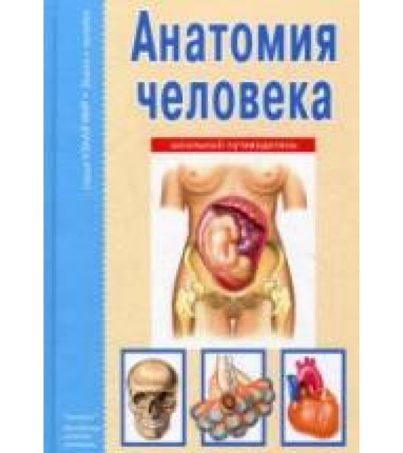 Анатомия человека. Школьный путеводитель - Афонькин С.Ю.