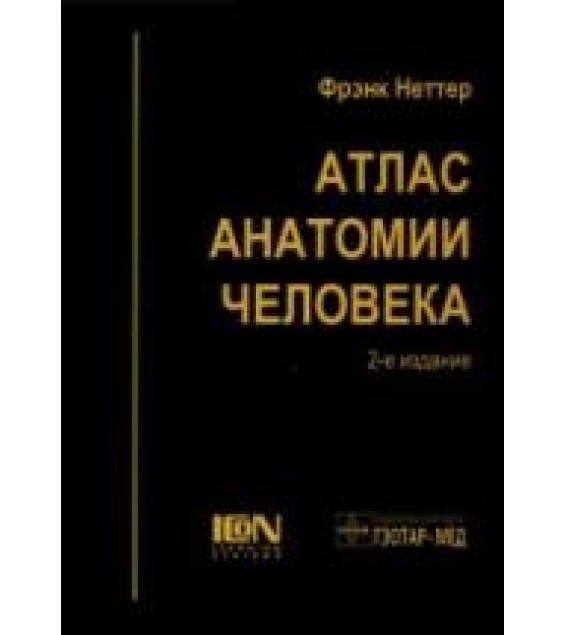 Атлас анатомии человека - Неттер Ф.