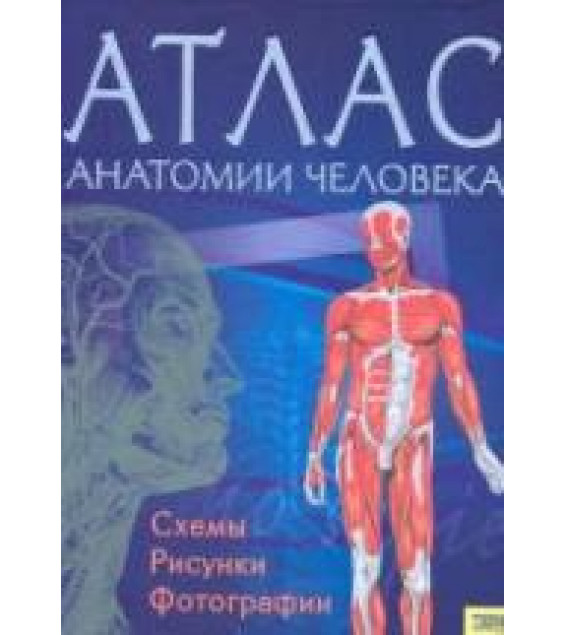 Атлас анатомии человека - Пер. Севастьяновой И.