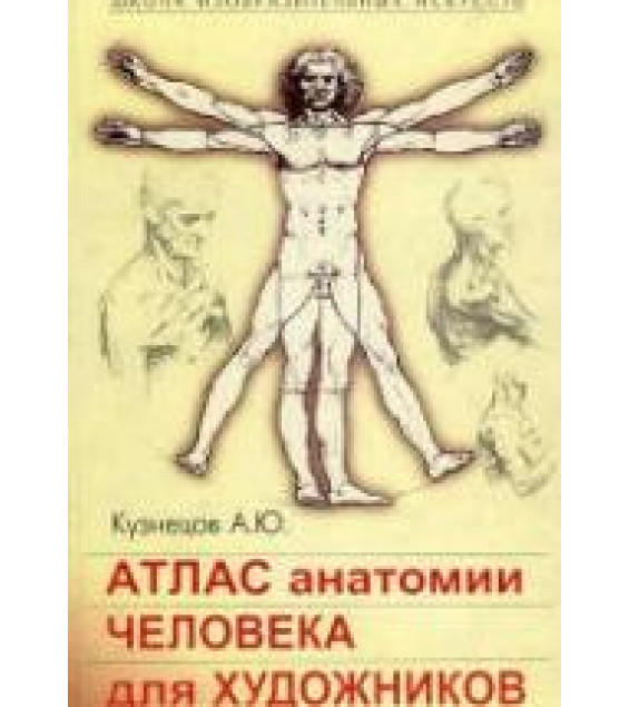 Атлас анатомии человека для художников - Кузнецов А.Ю.