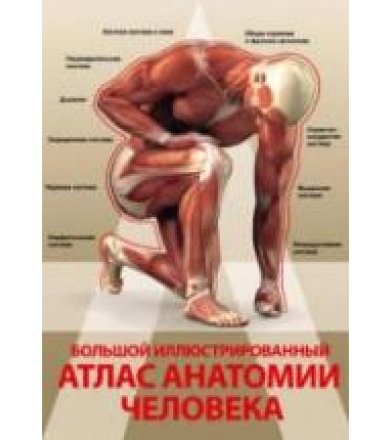 Большой иллюстрированный атлас анатомии человека. Спектор А.А.