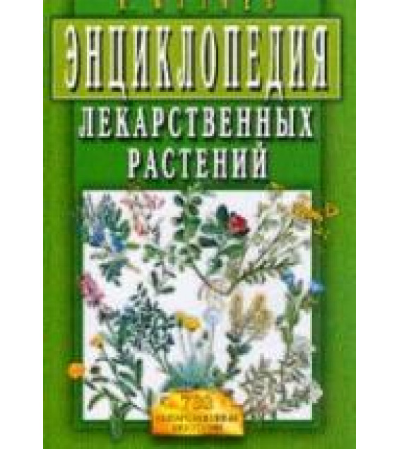 Энциклопедия лекарственных растений - Мазнев Н.И.