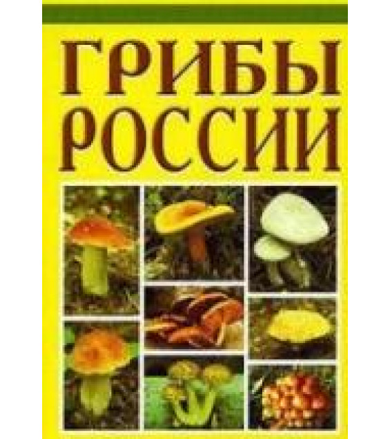 Грибы России - Бескоровайный А.