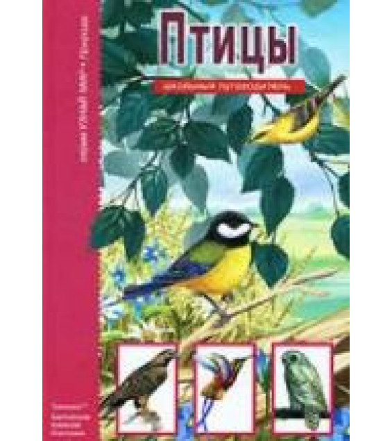 Птицы. Школьный путеводитель - Бугаев А.