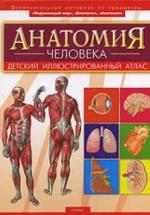 Анатомия человека - Мирер А.И. — обложка