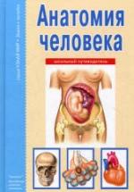 Анатомия человека. Школьный путеводитель - Афонькин С.Ю. — обложка