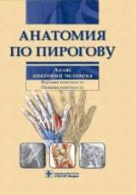 Анатомия по Пирогову. Коллектив авторов — обложка