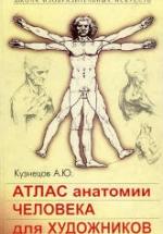 Атлас анатомии человека для художников - Кузнецов А.Ю. — обложка