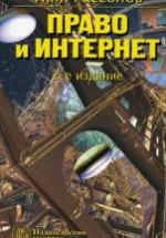 Право и Интернет. Теоретические проблемы. Рассолов И.М. — обложка